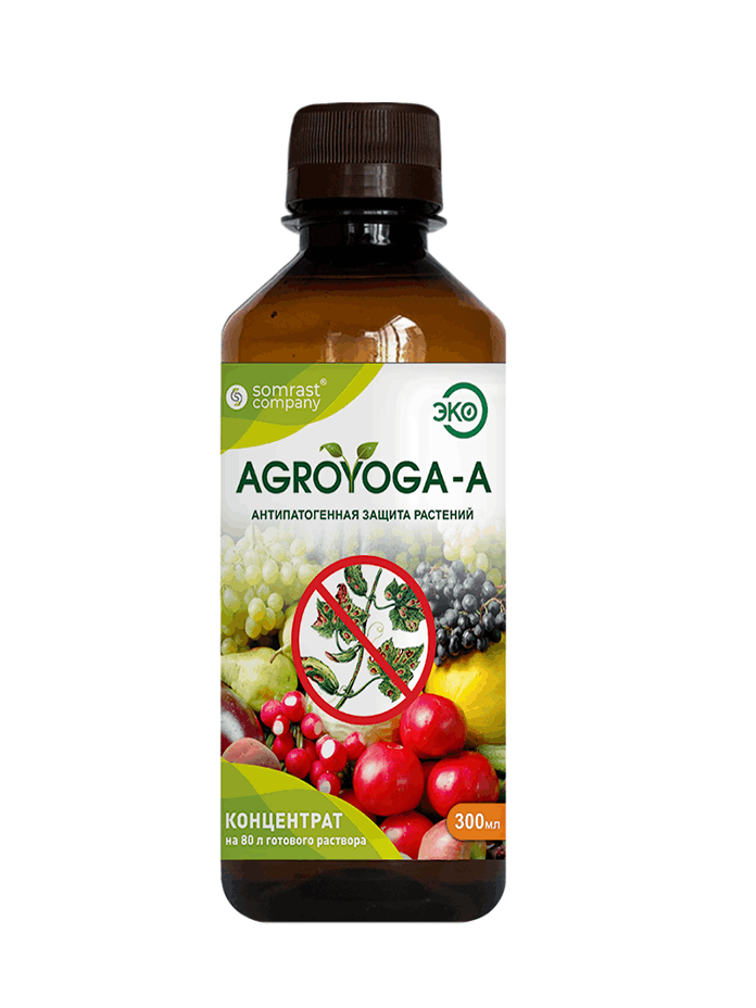 Agroyoga-A-1