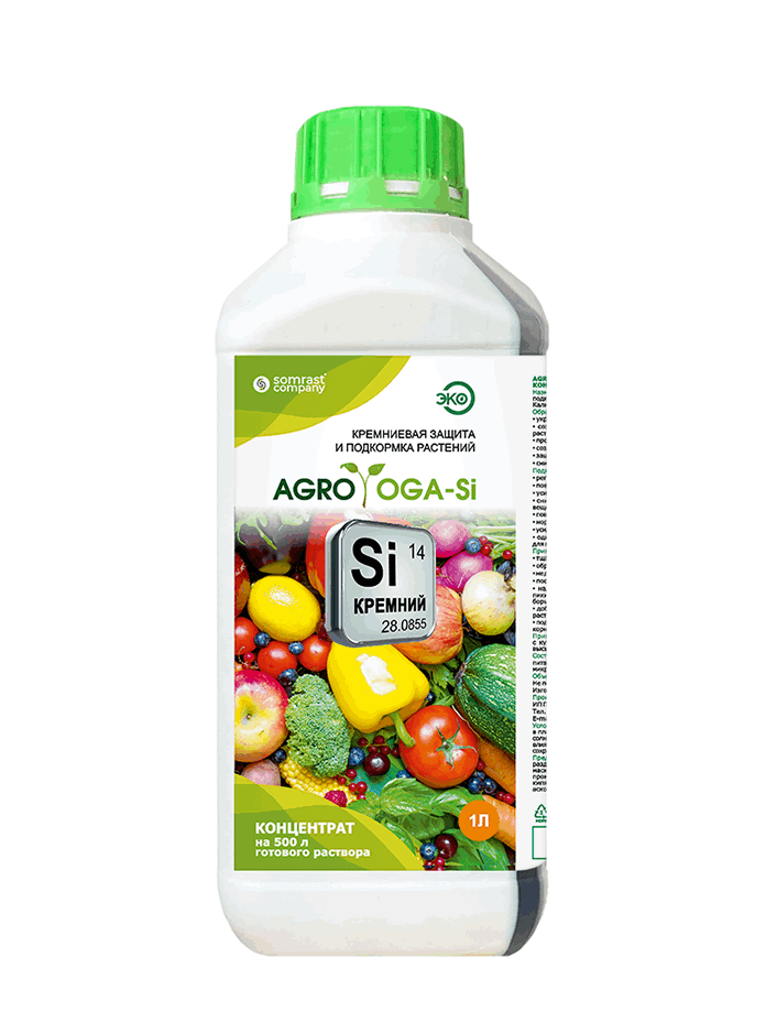 Agroyoga-Si-1