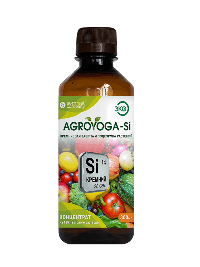 Agroyoga-Si-1